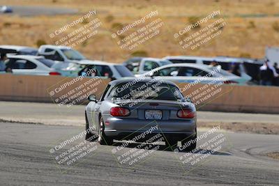 media/Feb-22-2025-Team Topak Racing (Sat) [[cb57a51a40]]/Beginner/Turns 13 and 14/